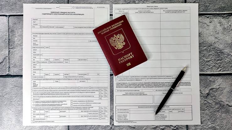 В январе и феврале взрослым выдали на 15 % больше загранпаспортов, чем за те же месяцы 2025 года.